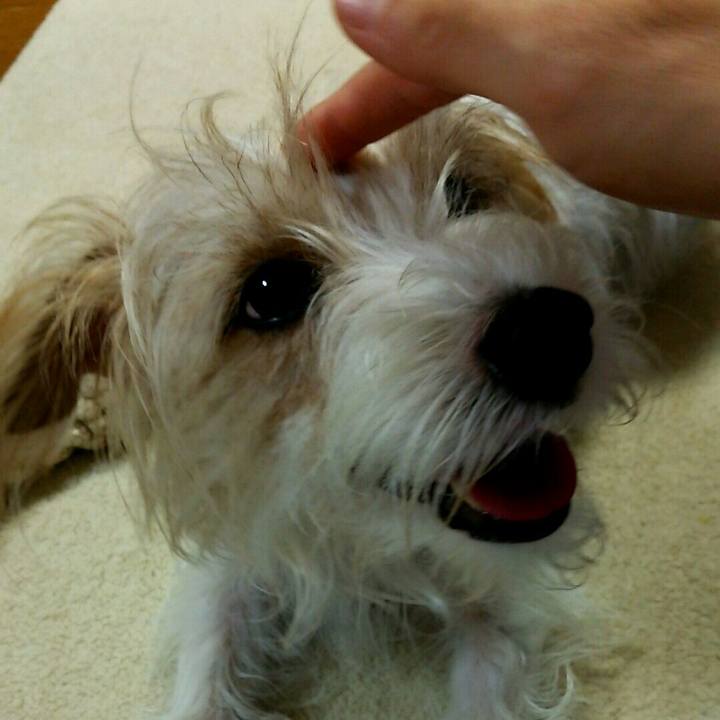 Ef3683a7 e238 428b a9ed 34f57a745227