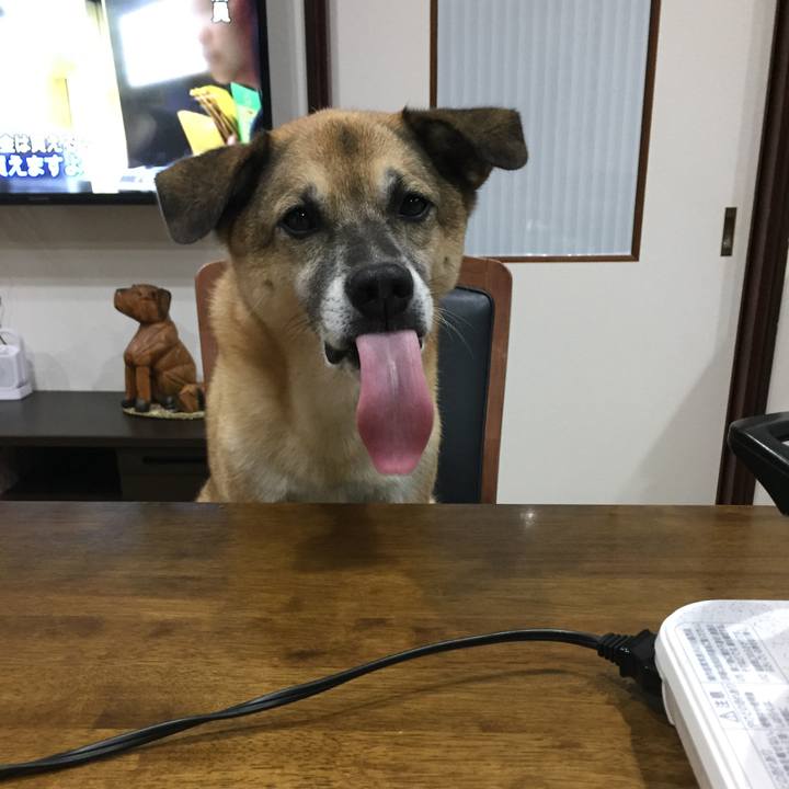 Ef36cda3 a7ab 4a85 a891 4b90ef9c2a69