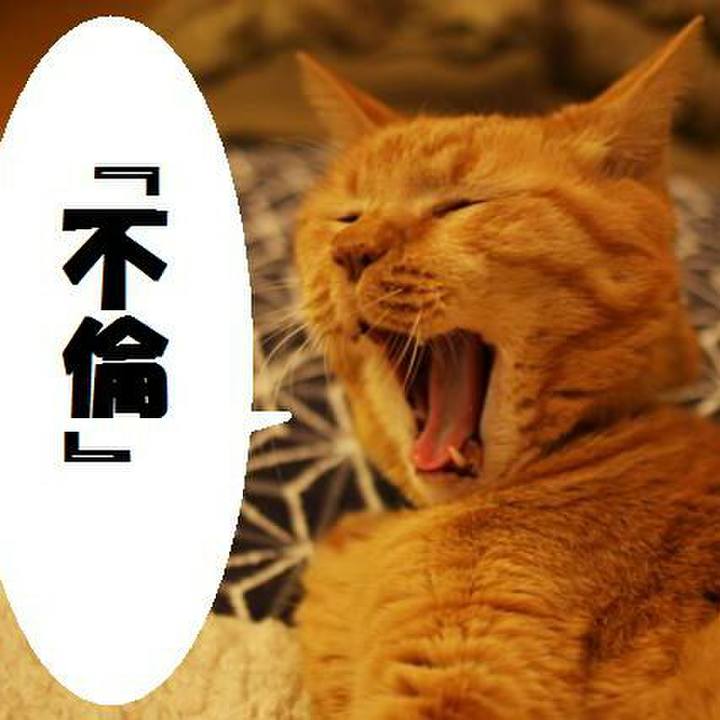 Ef381424 0317 42b9 b74f bb0814727e07