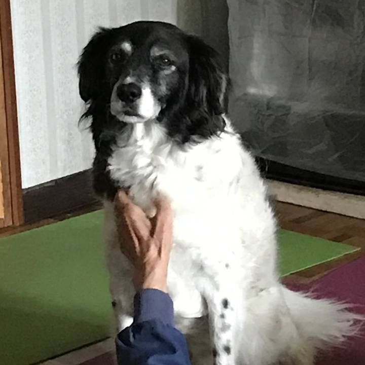 Ef3828c1 30e7 4a75 aefd dfbb4ffe9930