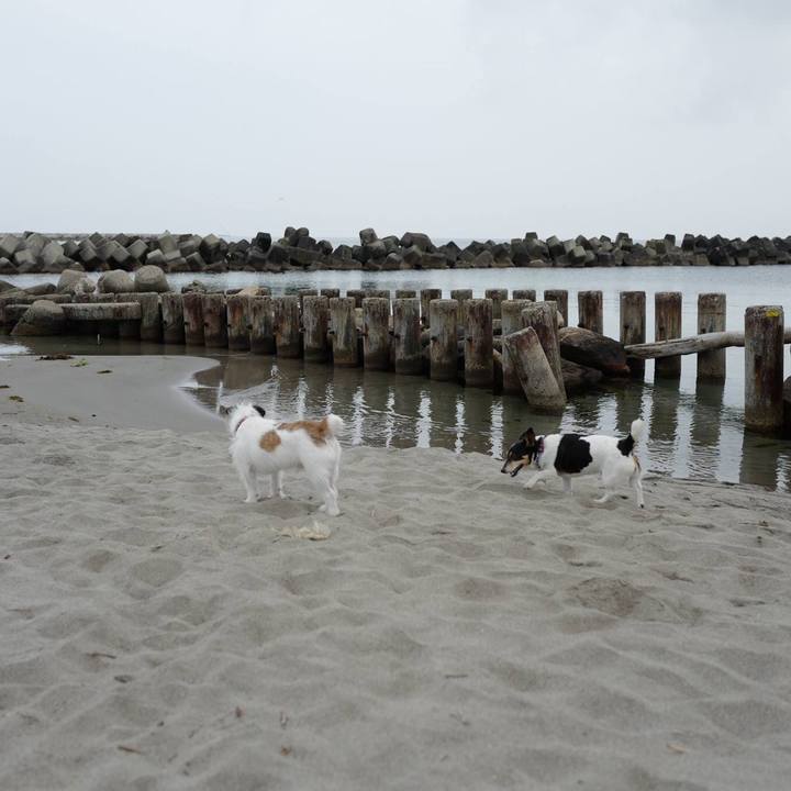 Ef384113 7734 4448 9f32 db1f3a1c219e