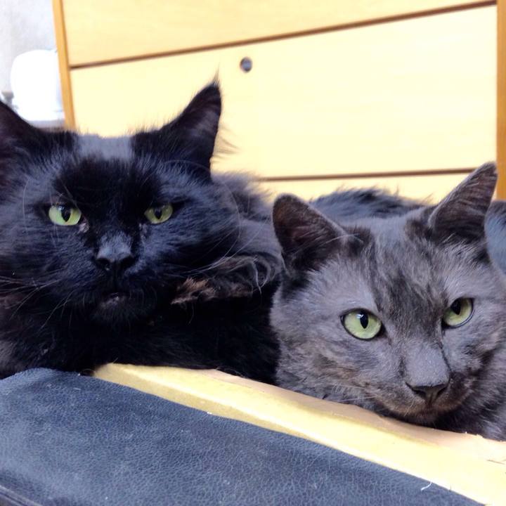 Ef38ddcb a573 4811 bf56 08c4a3847512