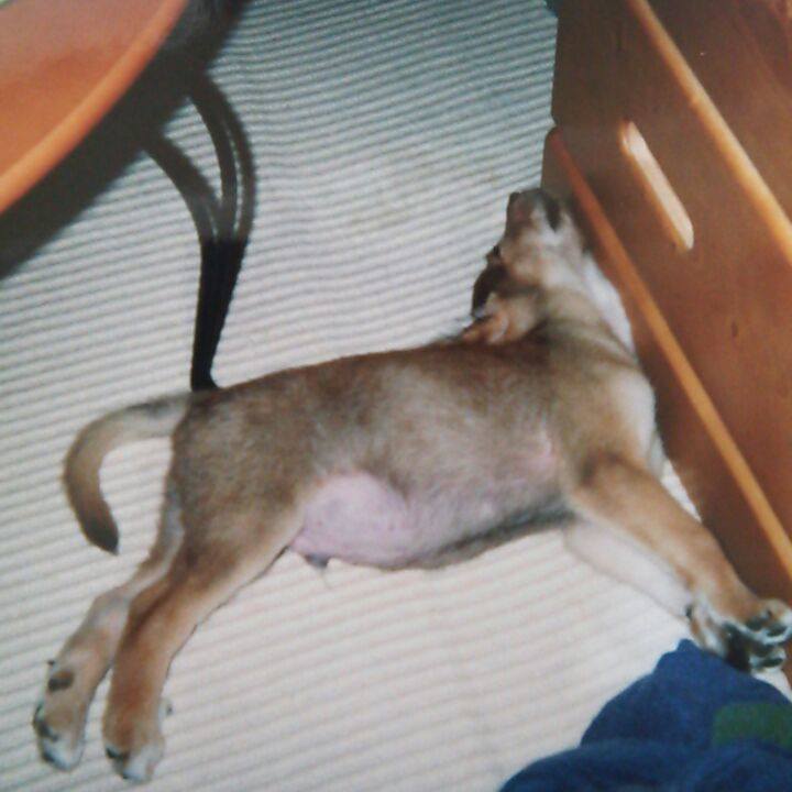 Ef38feee 3062 40f0 bcdd aa90df002445