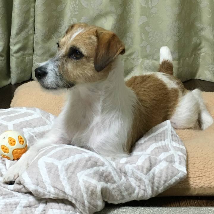 Ef394ac7 a619 49c8 a73b 8925ec306c41