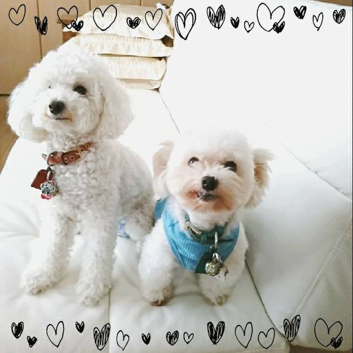 Ef39db41 5bc3 4120 88dd a306e184b18d