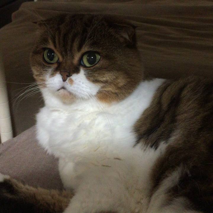 Ef3ad212 9ecb 4944 92f4 ec042c314f7e