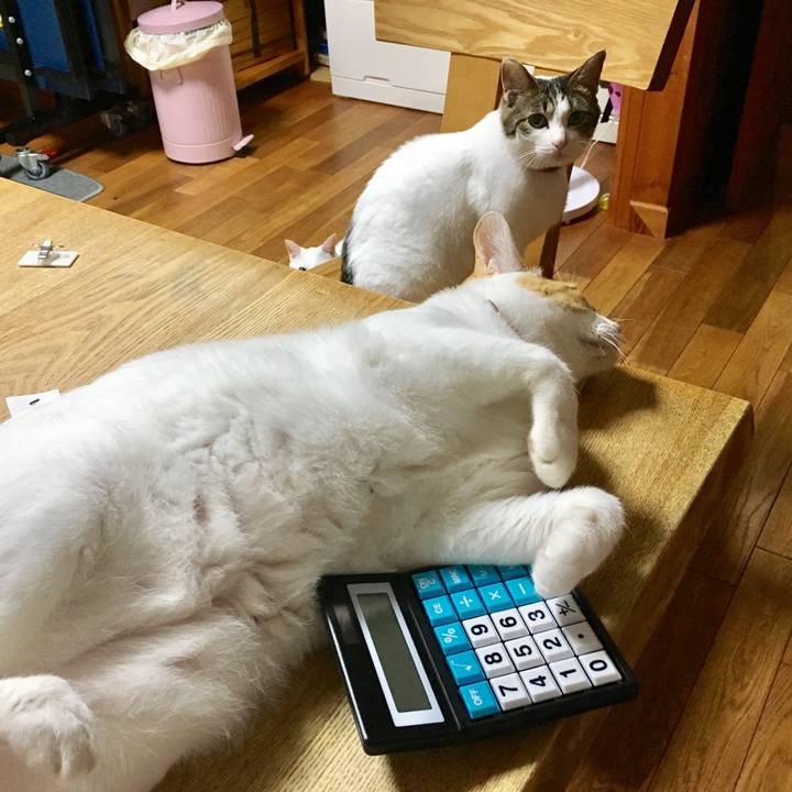 Ef3b0636 682e 4342 8d05 a6a206b6f21c