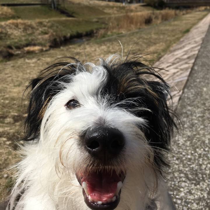 Ef3b171e 5fc7 4d2b bffa a87cbaf65bb0