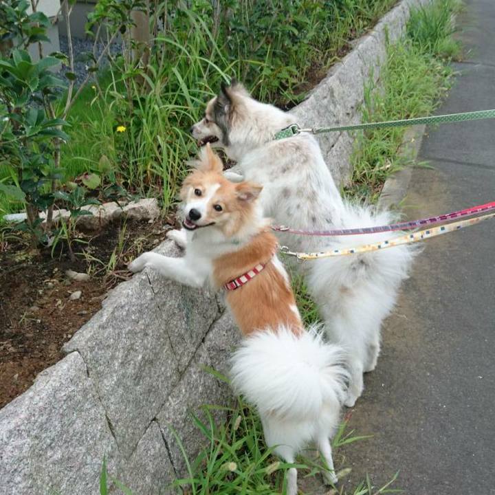 Ef3b2cf5 f053 4883 b27d 13dfcc6e8e2d