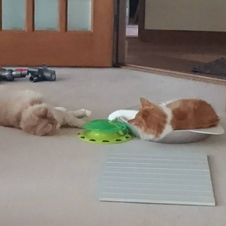 Ef3b3487 3cb6 4fdd a279 2d3c1958cac9