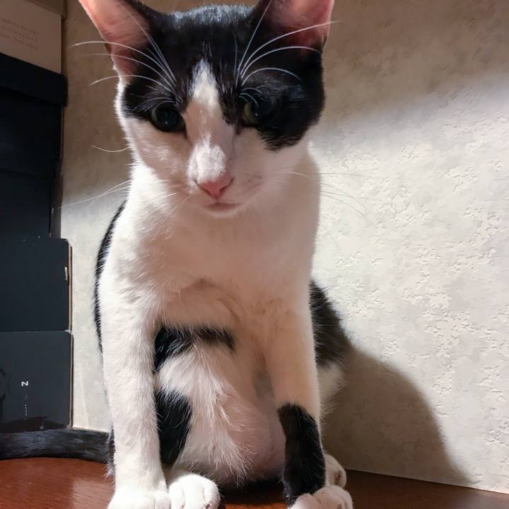 Ef3b38e6 9ed1 4f9c 9441 e5d0e5c4a068