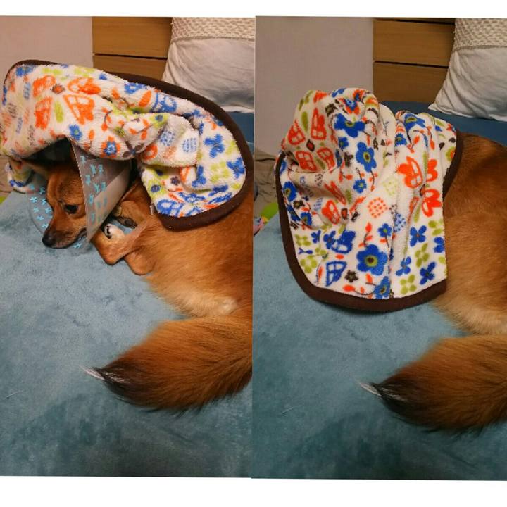 Ef3b4008 624b 4710 92ca cc47dc03c0b2