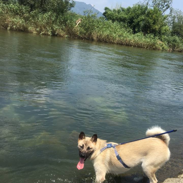 Ef3b8d64 2818 4eb4 b1a0 9bf2924cf804