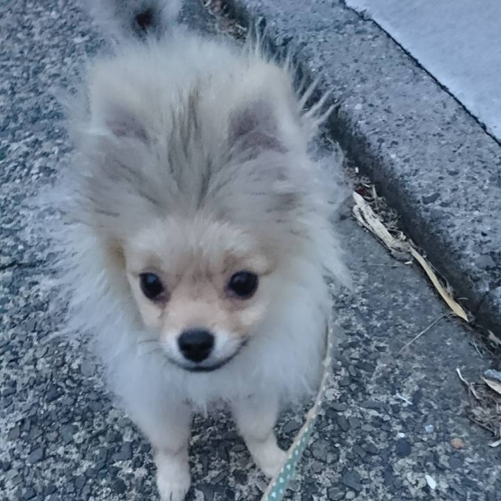 Ef3bcdef dae4 4163 b0c2 1649e4384c00