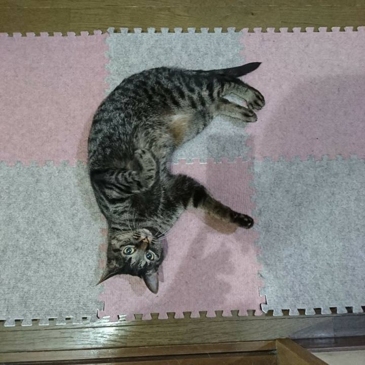 Ef3c5d6a d70d 4fdb 93c5 45caa8dc9ceb