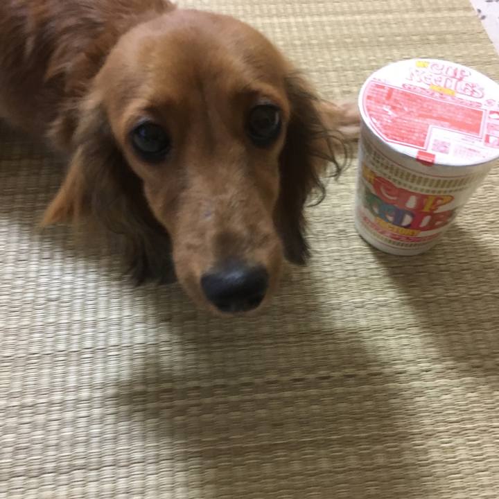 Ef3d27e8 3c55 4c67 afc9 8d697158f78a