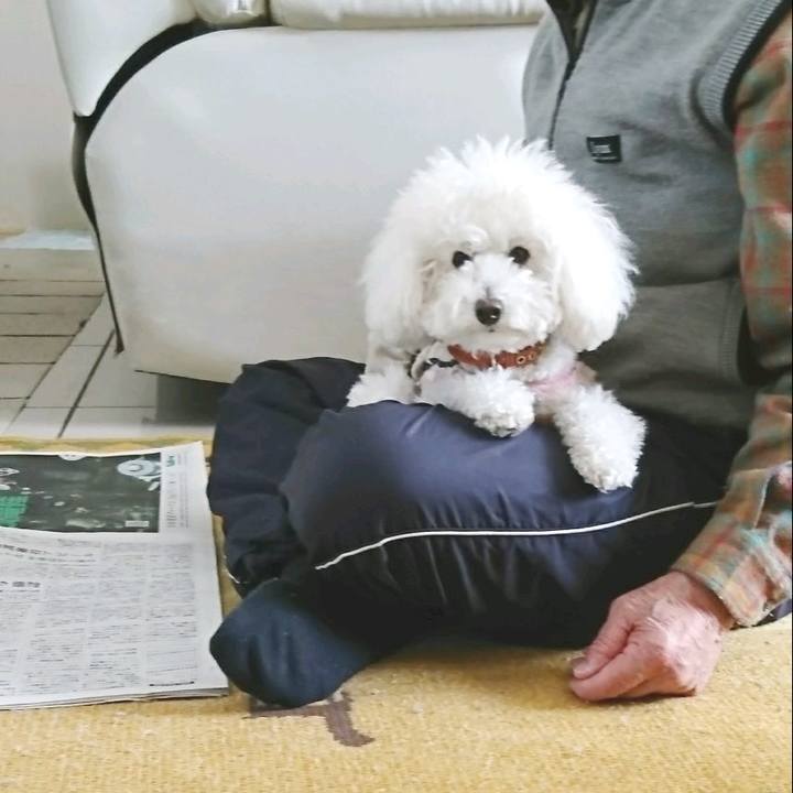 Ef3d648b b727 4854 88d8 bb82df23095b