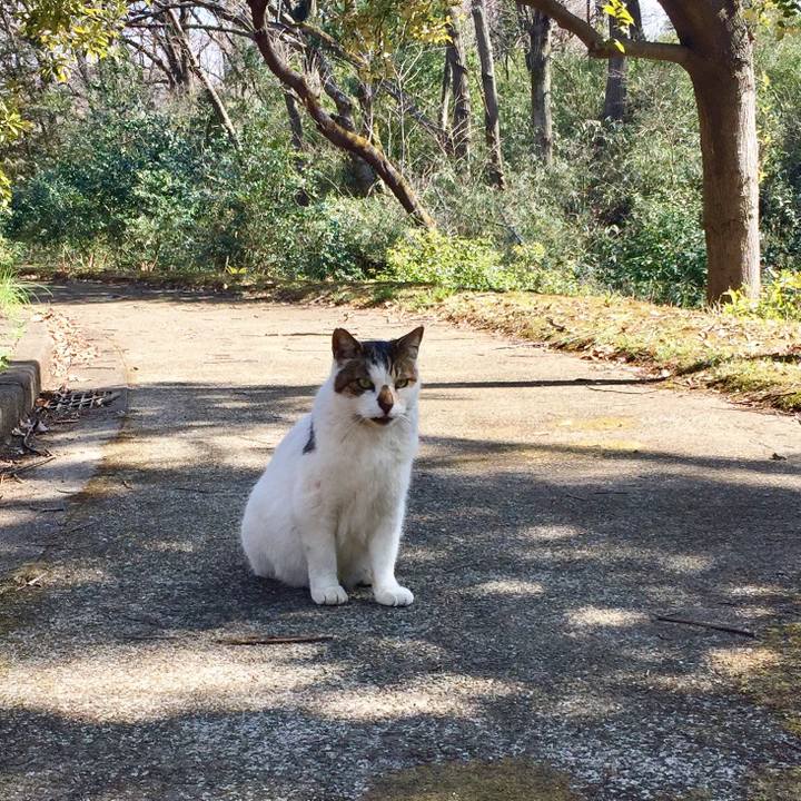 Ef3d9fd1 91c5 43ef afb9 d760aa090957