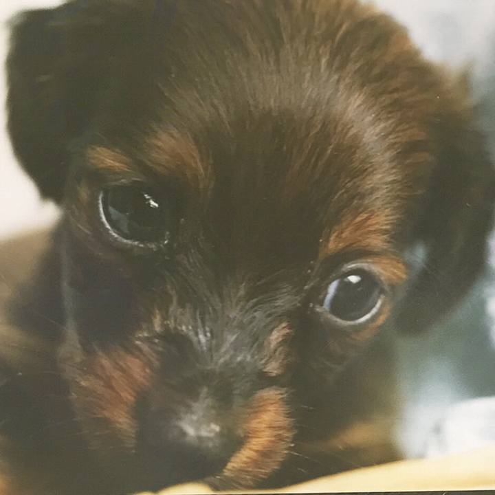 Ef3dc58a 639b 4ec1 bf67 52f1ae6c1cb5