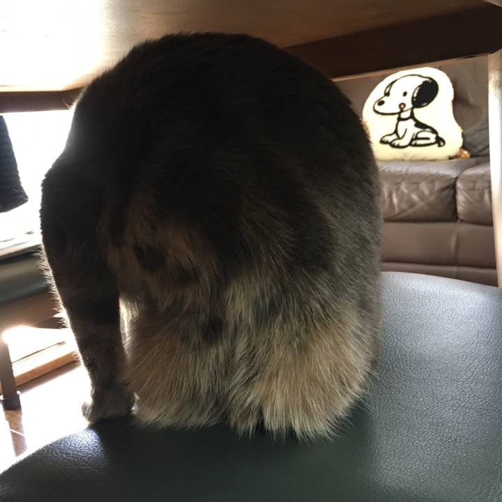 Ef3dd124 b957 4b04 bf6d 5d8186c760b0