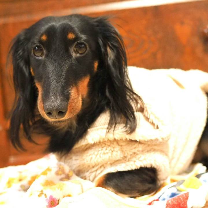 Ef3de0ac 9d7e 40d5 bdd2 e03e4f406b5d