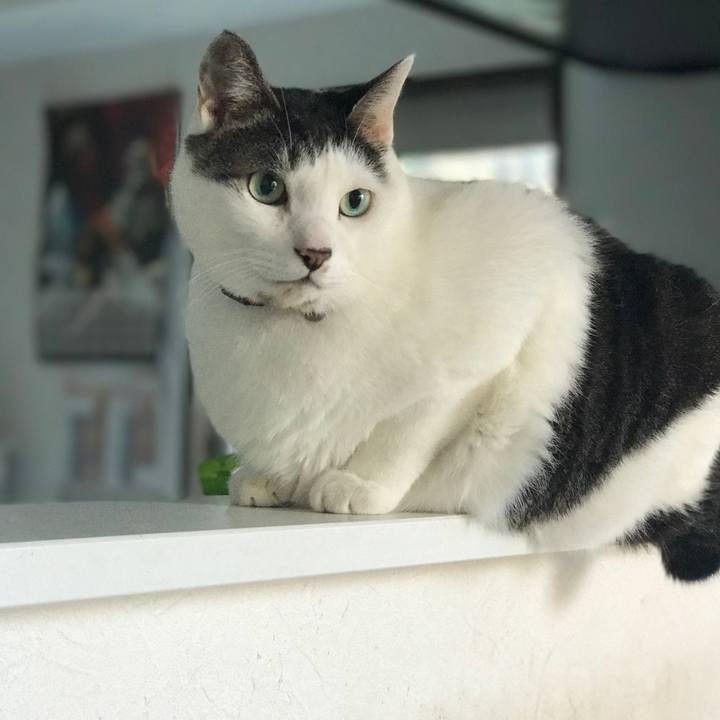 Ef3deb51 de92 4ce1 8f4e c61dea3957f9