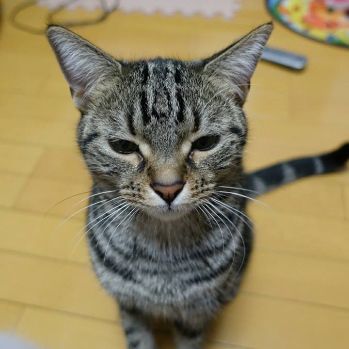 Ef3deeab 72ff 4c1b b831 fa1f909f2892