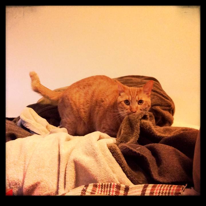 Ef3e8e84 ea92 48be a16c 726a8d4cf9cd