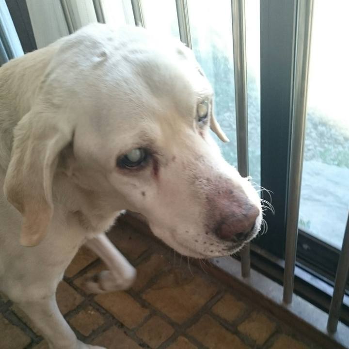 Ef3f6057 132a 48c6 bedd b474b6273b00