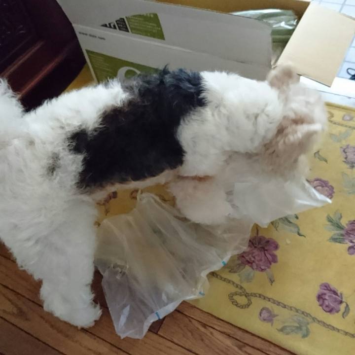 Ef40276e 6be4 4564 acc7 3f3585dd76a3