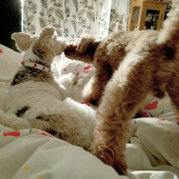 Ef4054ed 6298 42bb 89bb 229b9fcda7f1