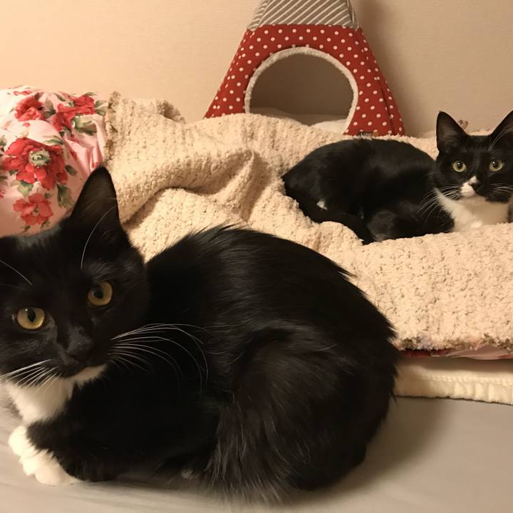 Ef408dfc c18a 4d04 bfe9 418ca32ddd3b