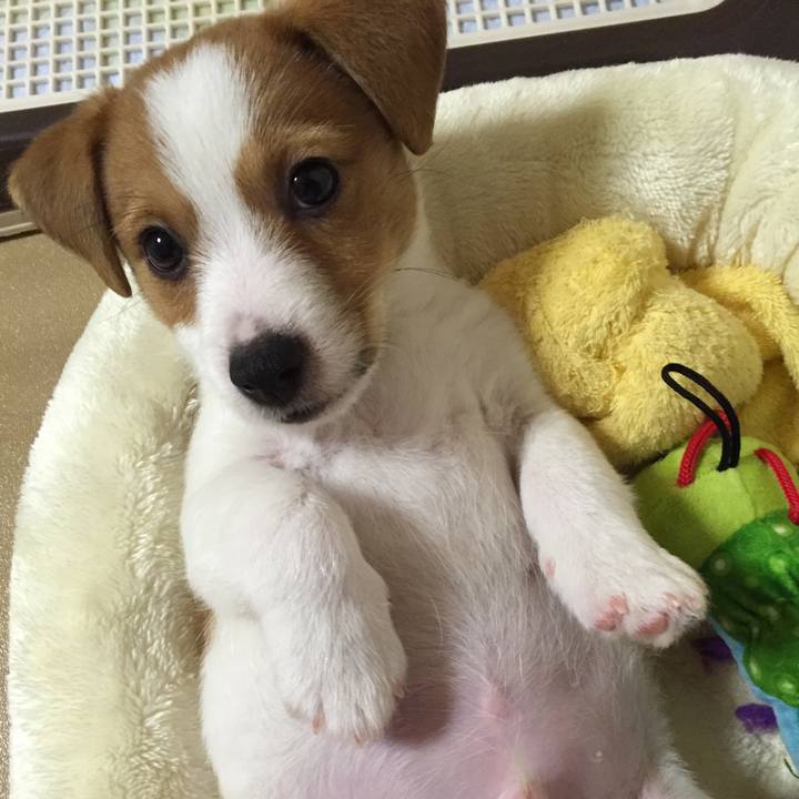 Ef409244 0c2c 4bb5 bc50 4567cc25a320