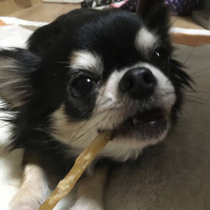 Ef418ec7 219b 417a 9099 ab732e9f5357