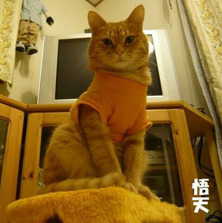 Ef41d897 b7db 4900 8a80 50568615cf02