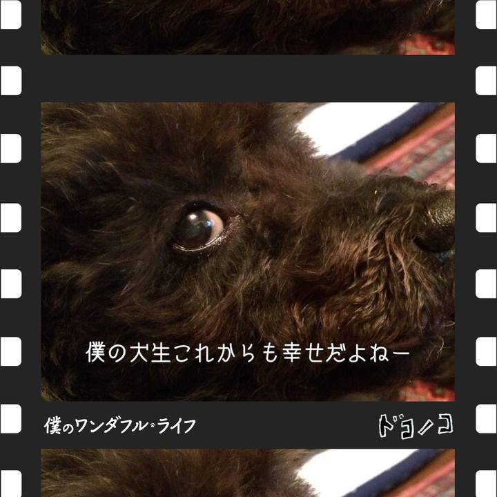 Ef43dcb9 4957 4c1a 8ba0 6f78281f4d1c