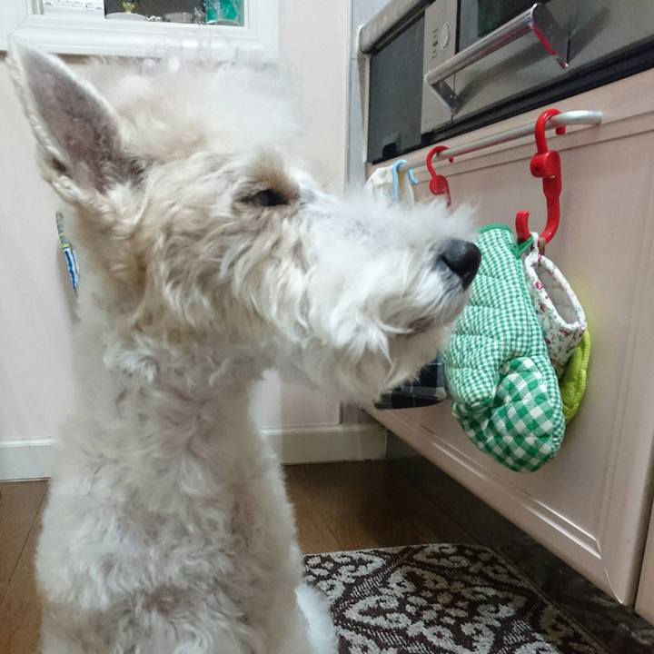 Ef43dd8e de57 4f11 99c5 17213cf91ea1