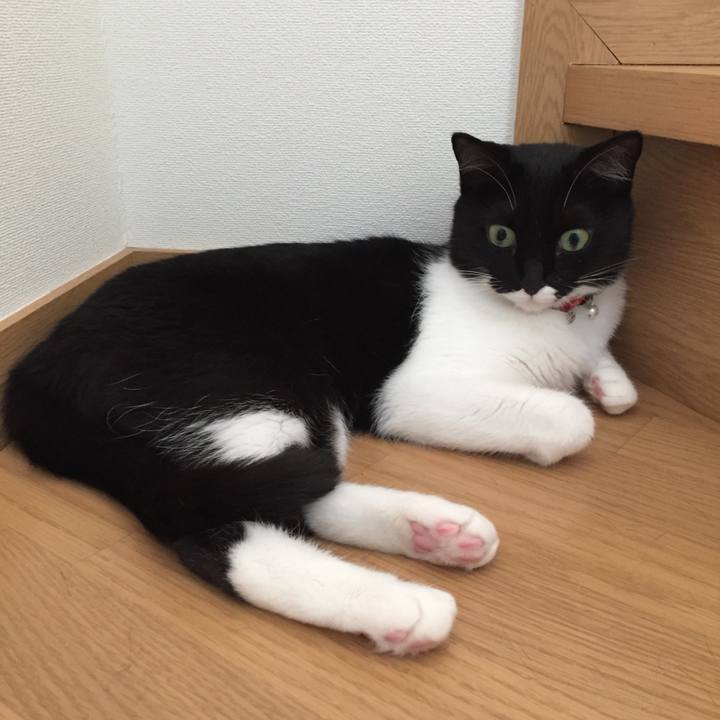 Ef44ae81 7a4b 4199 85f4 4827e0c12550