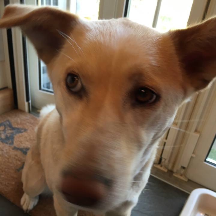 Ef44b333 fe99 4bcf 8fc0 636b9d8efe0d