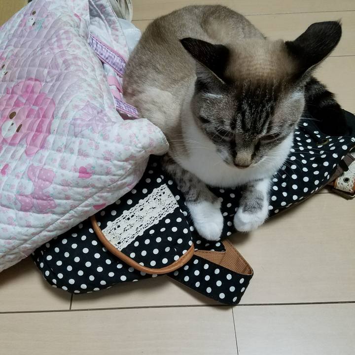 Ef4500df f969 4a6e b9c4 9424a4ad0b64