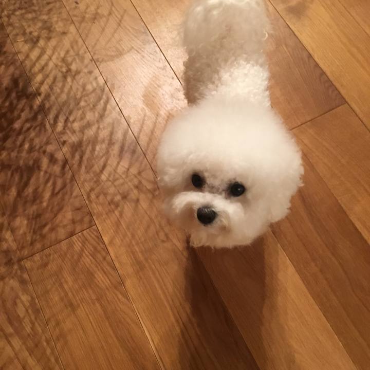 Ef45129f f115 4a61 a0f0 83ac237fc94e