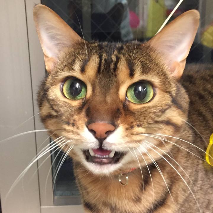 Ef45d172 8fb7 4b31 a9f9 b48548c2722f