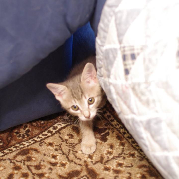 Ef461014 2877 41dd 91f0 c18e8c4b2602