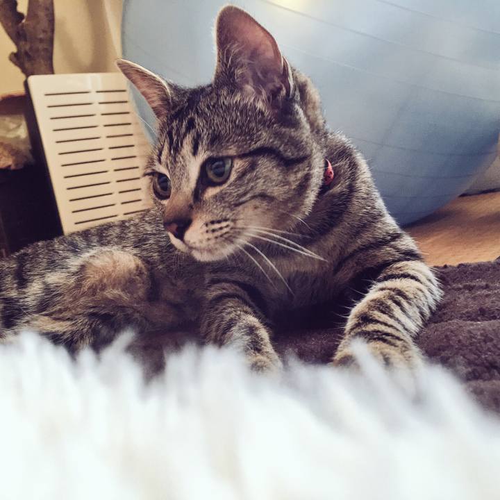 Ef4688b5 15b8 4a1f afd3 b162e26c98a5