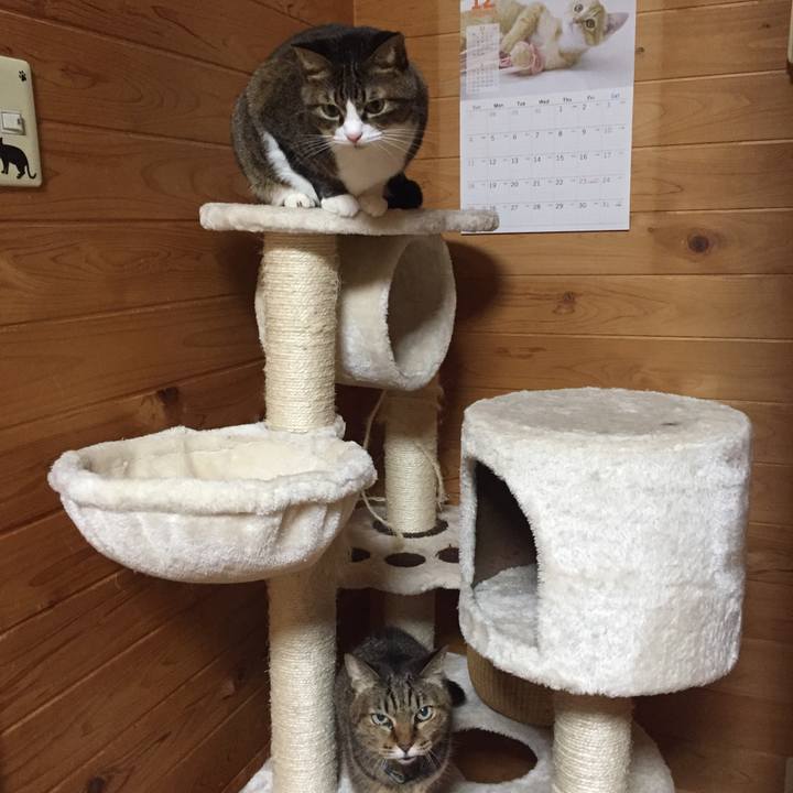 Ef46c10c 0ab5 489b b025 385d9983556a