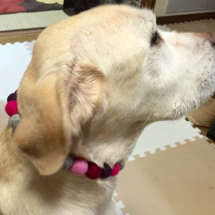 Ef46d063 4fb4 477f 83dd 29ff3c94c95d