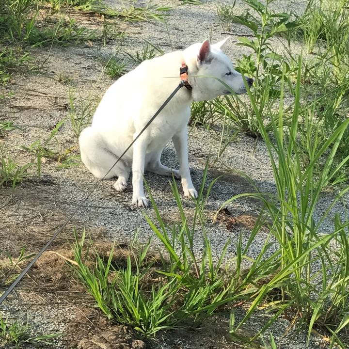 Ef46f2b5 fd90 446d 889a ea0e6d41025d