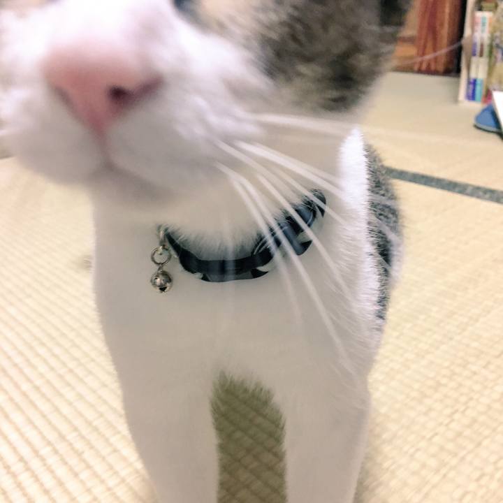 Ef473104 439c 4bbb bdba f57762d7b5bd