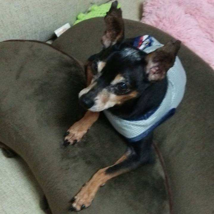 Ef476438 1121 43fc 9e0d f4fe0599724c