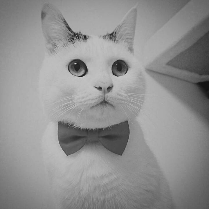 Ef47a07e 999f 4ff4 a656 61d7b0247198